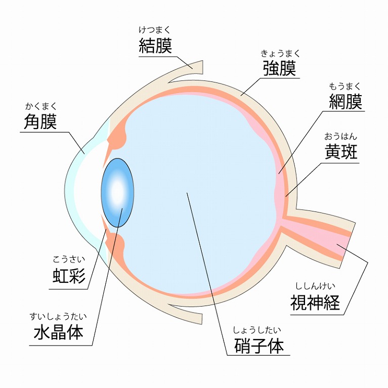 飛蚊症の対策